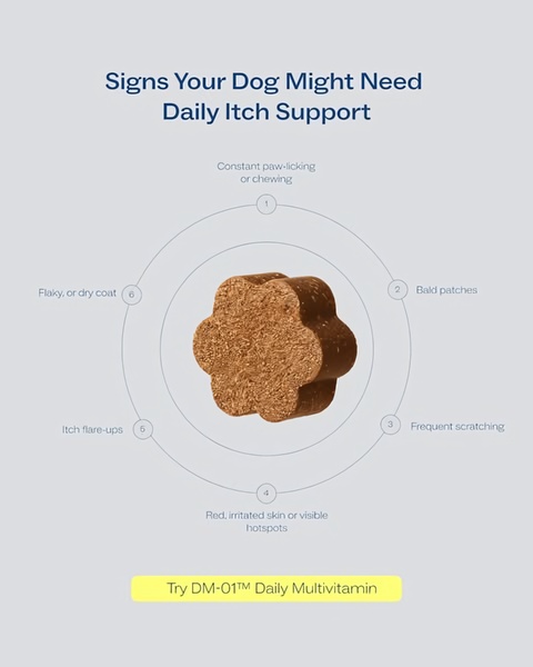 A clean, minimalist 4:5 static graphic that educates pet owners on common signs of skin issues using a numbered, circular visual breakdown.